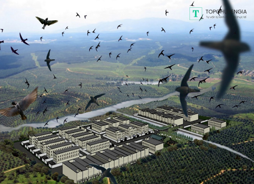 Đầu tư nhà yến bao lâu thu hồi vốn? Cách thu hồi vốn nhanh